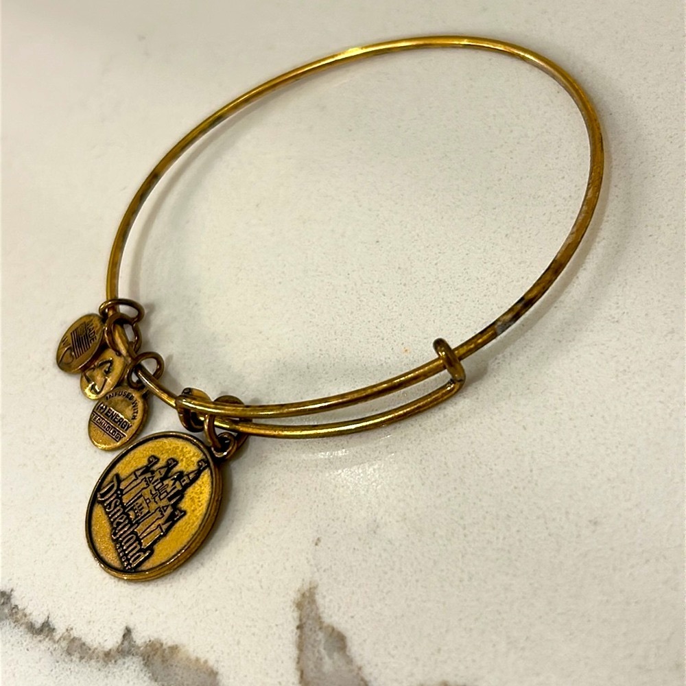 Alex and Ani Disneyland Disney Bangle Bracelet - Picture 2 of 4